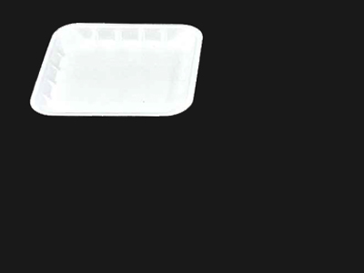 Food Tray