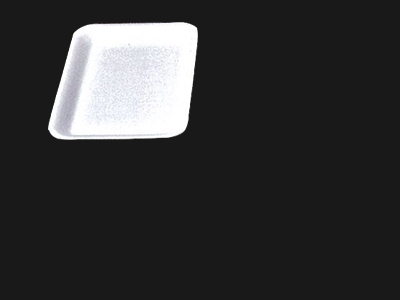 Food Tray