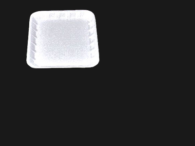 Food Tray
