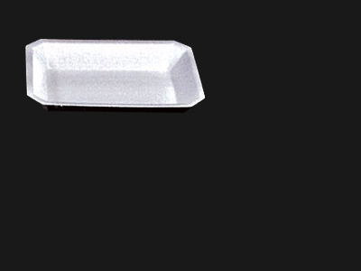 Food Tray