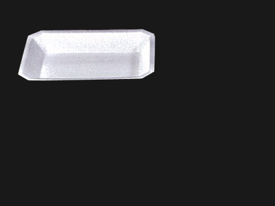 Food Tray