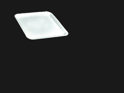 Food Tray