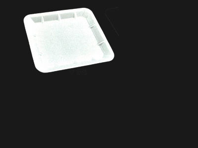 Food Tray