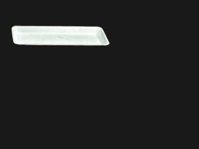 Food Tray