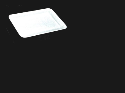 Food Tray