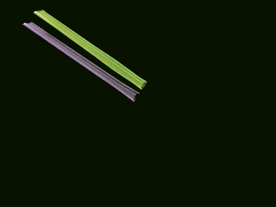 Flexible Straw