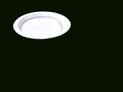 plate