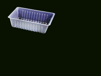 Container