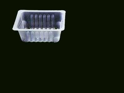 Container