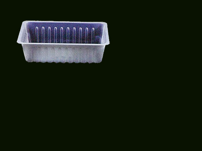 Container