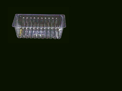 Container