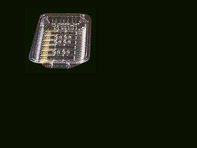 Food Tray
