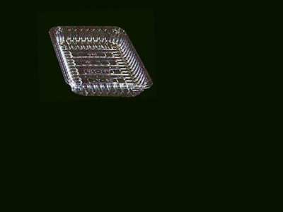 Food Tray
