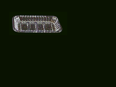 Food Tray