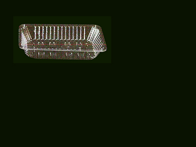 Food Tray