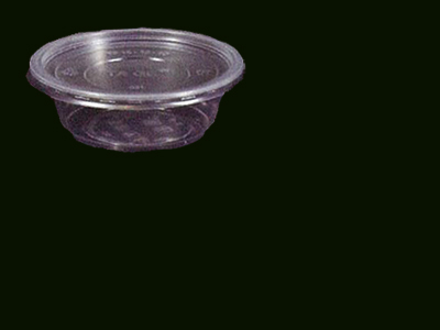 2 Compartment Container
