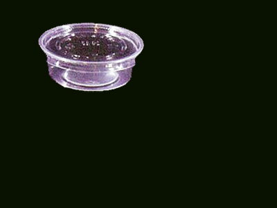 2 Compartment Container