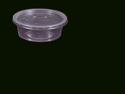 2 Compartment Container