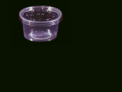 2 Compartment Container