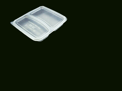 2 Compartment Container