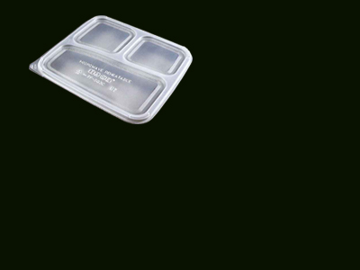 2 Compartment Container