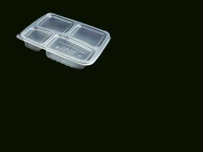 2 Compartment Container