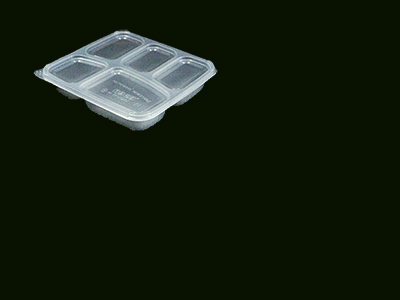 2 Compartment Container