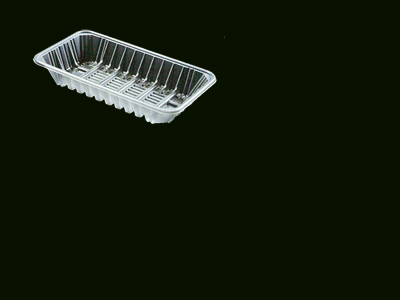 Food Tray